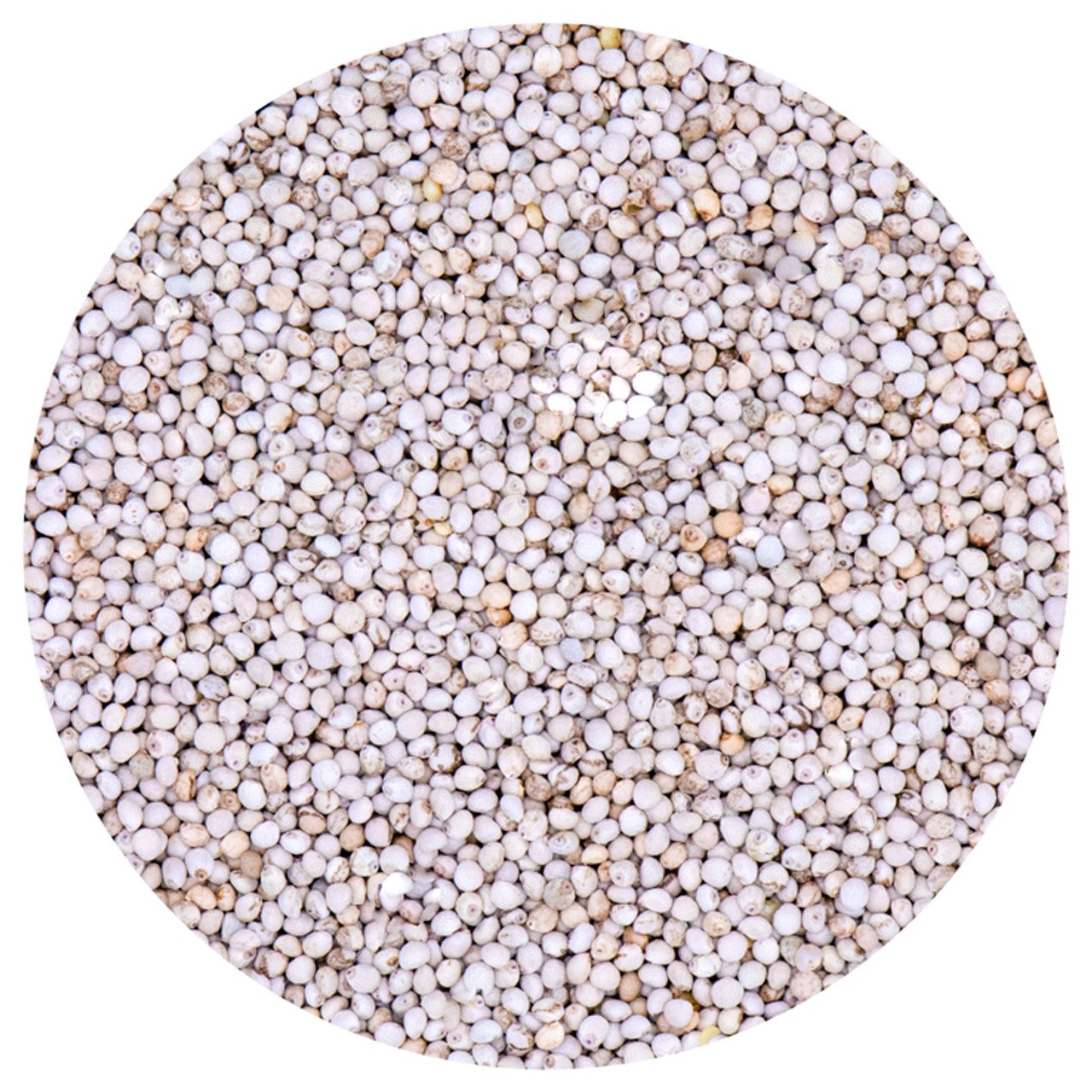 G1 Experience Beyaz Perilla Tohumu (Vakum Paket) 1 Kg