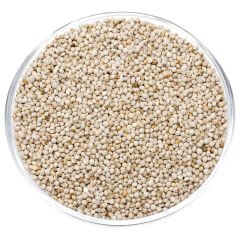 G1 Experience Beyaz Perilla Tohumu 1 Kg