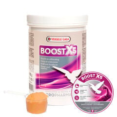 Versele Laga Oropharma Boost X5 Enerji ve Kas Destekleyici 500 g