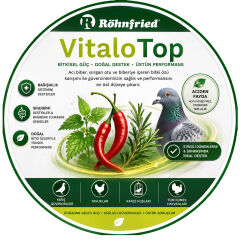 Röhnfried VitaloTop Acı Biberli Sindirim Sistemi Güçlendirici Karışım (B) 100 ml