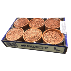 Paloma Red Pickstone Kırmızı Mineral Çanak 6'lı