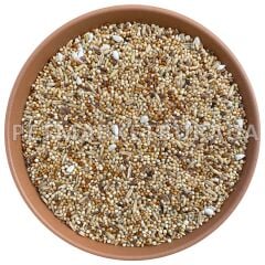 Versele Laga Prestige Budgies Karışık Muhabbet Kuşu Yemi 1 Kg (Bölünmüş)
