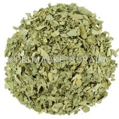 G1 Experience Okaliptüs Yaprağı Premium Granülü 500 gr