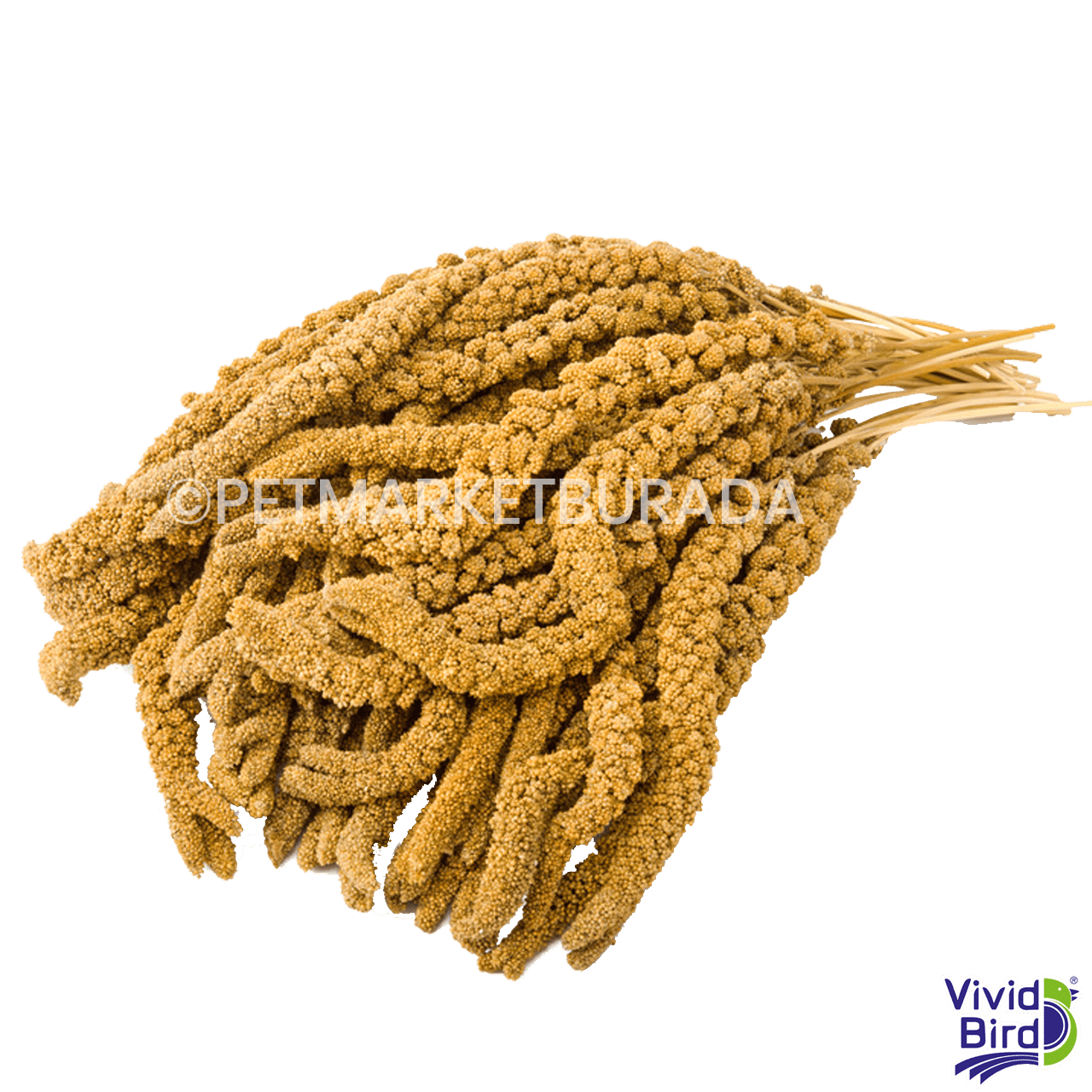Vivid Bird Sarı Dal Darı 500 gr