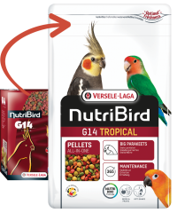 Versele Laga Nutribird G14 Tropical Paraketler İçin Meyveli Pelet Yem (OP) 1 kg
