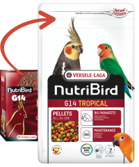 Versele Laga Nutribird G14 Tropical Paraketler İçin Meyveli Pelet Yem (OP) 1 kg
