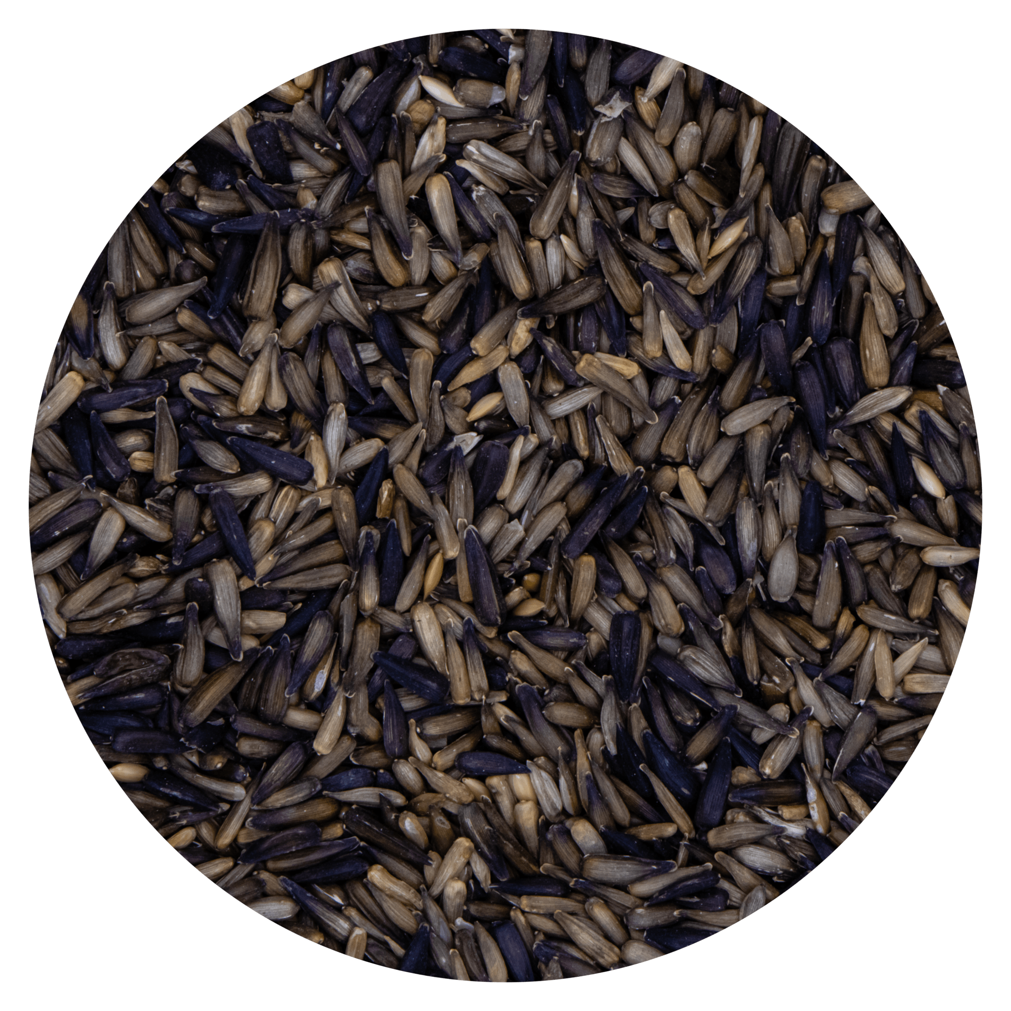 G1-Experience İthal 1. Sınıf Mikro Çekirdek 500 g