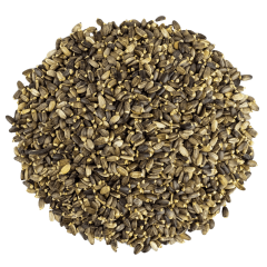 G1 Experience Premium Mikro DeveDikeni Tohumu 500 gr