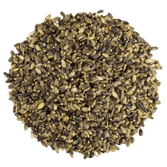 G1 Experience Premium Mikro DeveDikeni Tohumu 500 gr