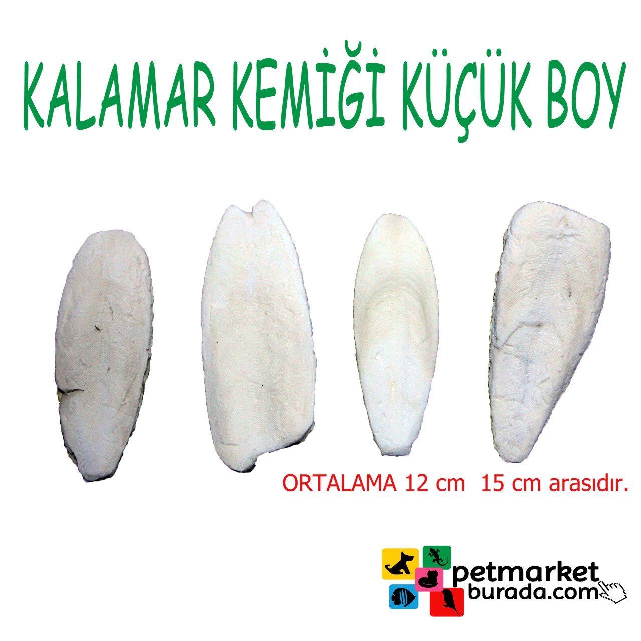 Küçük Boy Kalamar Mürekkep Balığı Kemiği 250gr
