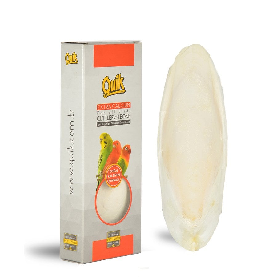 Quik Mürekkep Balığı (Kalamar) Kemiği Orta Boy