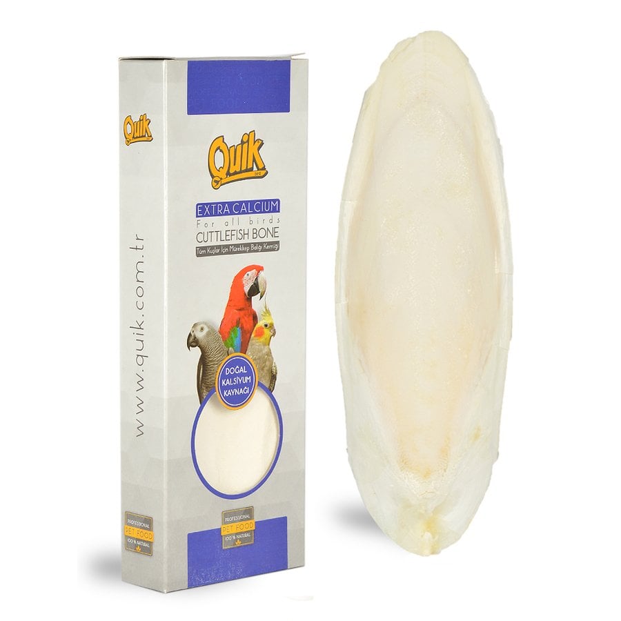 Quik Mürekkep Balığı (Kalamar) Kemiği Büyük Boy