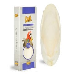 Quik Mürekkep Balığı (Kalamar) Kemiği Büyük Boy