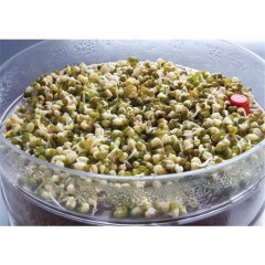 Çimlendirme Aparatı 5 Katlı