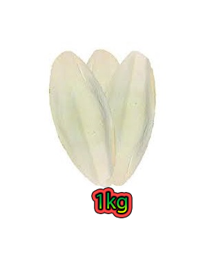 Kalamar (Mürekkep Balığı) Kemiği 1 Kg