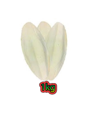 Kalamar (Mürekkep Balığı) Kemiği 1 Kg