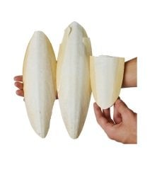Büyük Boy Kalamar Mürekkep Balığı Kemiği 1Kg