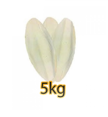 Kalamar (Mürekkep Balığı) Kemiği 5 Kg