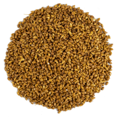 G1 Experience Premium Tozsuz Süpürge TohumuVakum Paket 500 gr