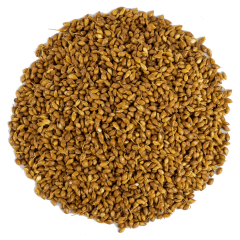 G1 Experience Premium Tozsuz Süpürge Tohumu 250 gr