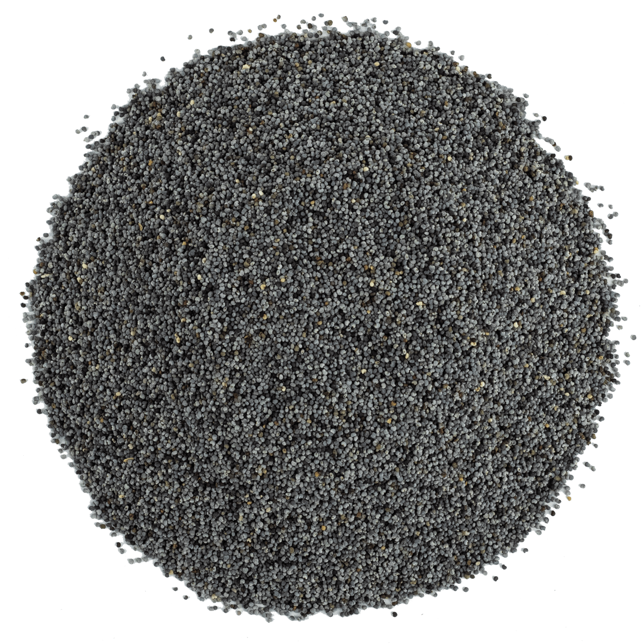 G1 Experience Süper Kalite Mavi Haşhaş Tohumu 500 gr