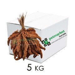 G1 Experience Süper Kalite Kızıl Fransız Tilki Kuyruğu Dal Darı 5 kg Koli