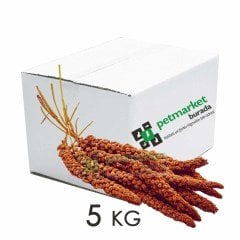 PMB Selections Kızıl Dal Darı Hollanda 5 kg Koli