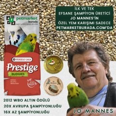 Versele Laga Prestige Euro Champ Jo Mannes Japon Darılı Muhabbet Yemi 20 Kg