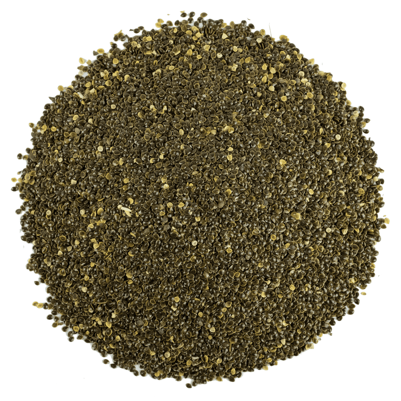 G1 Experience Isırgan Tohumu Doğal Şifa Tohumu 250 Gr