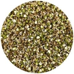 G1 Experience AMG Yüksek Besleyici Çimlendirme Tohumları Karışımı 1 Kg