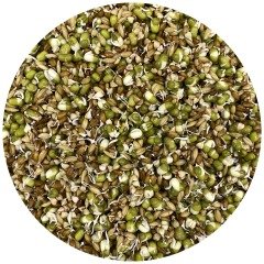 G1 Experience AMG Yüksek Besleyici Çimlendirme Tohumları Karışımı 1 Kg