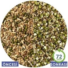 G1 Experience AMG Yüksek Besleyici Çimlendirme Tohumları Karışımı 5 Kg