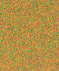 Versele Laga Nutribird B18 Damızlık Muhabbet Kuşları Ve Mini Paraketler İçin Meyveli Pelet Yem (B) 1 kg