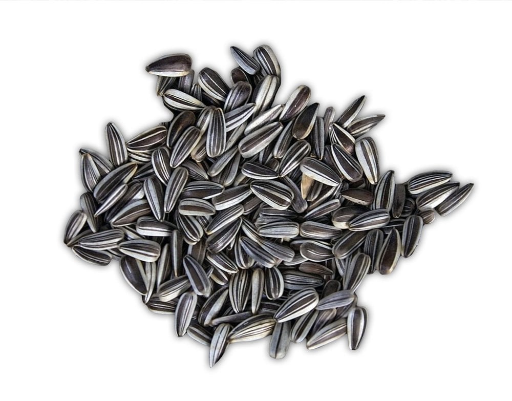 Vivid Bird Çizgili Ufak Alacalı Çekirdek 1 kg