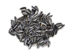 Vivid Bird Çizgili Ufak Alacalı Çekirdek 1 kg