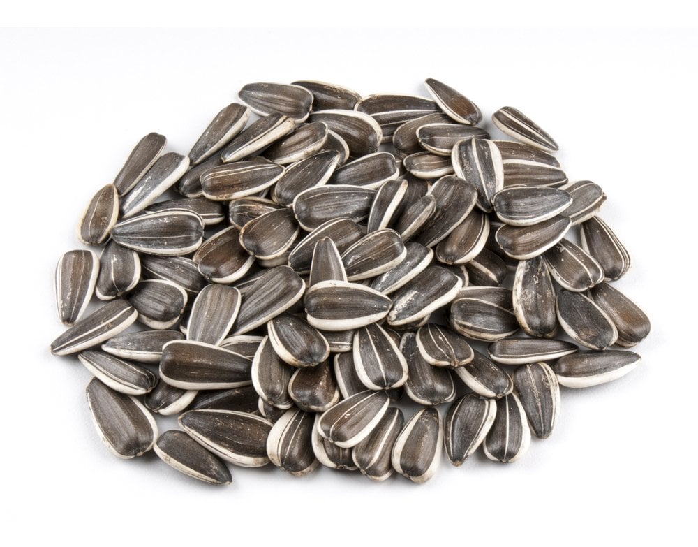 Vivid Bird Duble Lüks Dakota Çekirdek 1 kg