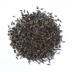 Vivid Bird İthal Nijer Tohumu 1 Kg