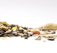 Versele Laga Prestige Parrots  Papağan Yemi (B) 1 kg