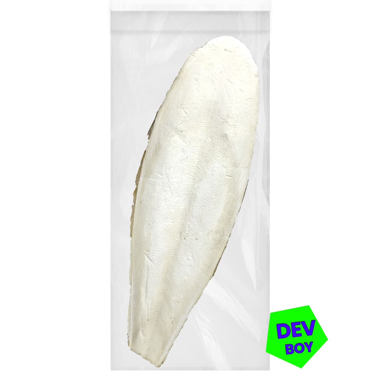 G1 Experience Mürekkep Balığı Kalamar Kemiği XXXL Dev Boy