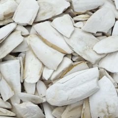PMB Selections Mürekkep Balığı Kemiği Kırık Kalamar 1 kg
