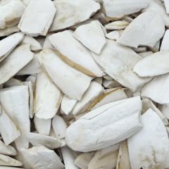 PMB Selections Mürekkep Balığı Kemiği Kırık Kalamar 1 kg