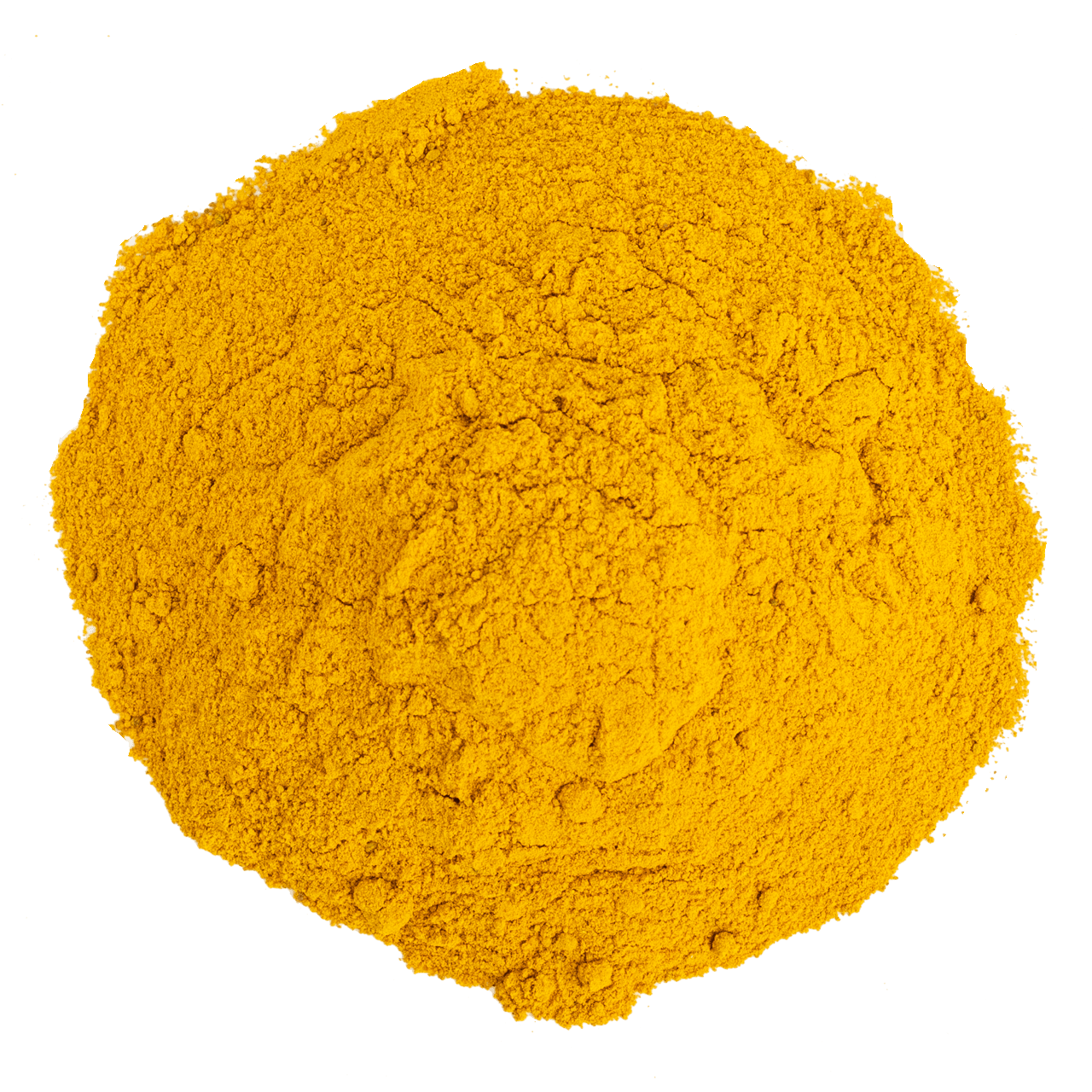 G1 Experience Toz Zerdeçal Doğal Karaciğer Koruyucu Mama Katkısı 500 gr