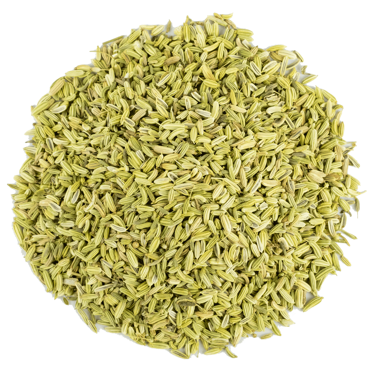 G1 Experience Rezene Tohumu Doğal Sindirim Sistemi Rahatlatıcı Premium Kalite 1 Kg