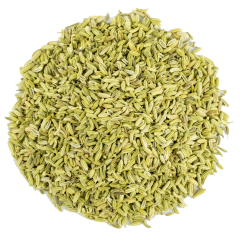 G1 Experience Rezene Tohumu Doğal Sindirim Sistemi Rahatlatıcı Premium Kalite 1 Kg