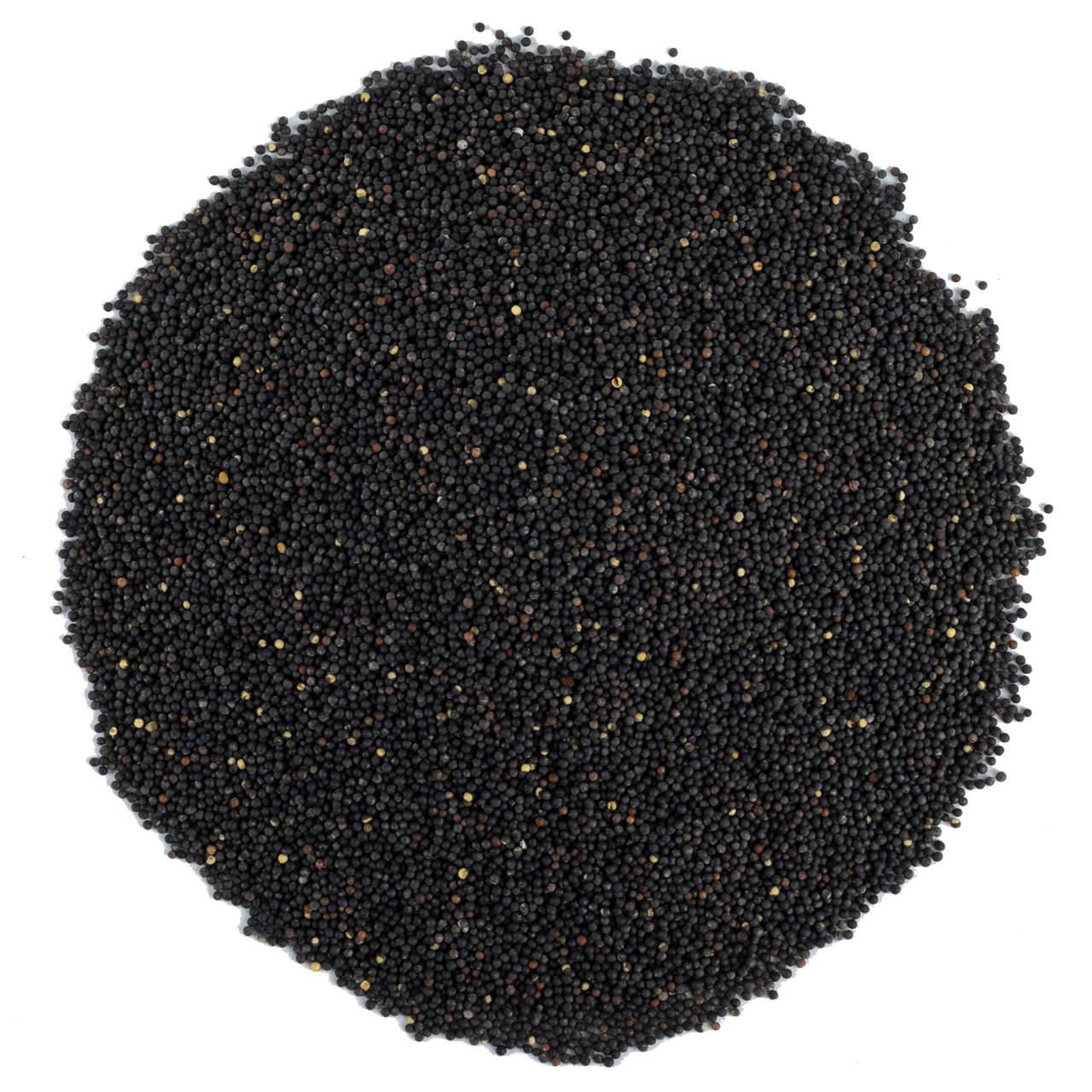 G1 Experience Siyah Hardal Tohumu Premium Kalite 250 g