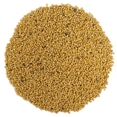 G1 Experience Sarı Hardal Tohumu Premium Kalite 250 g