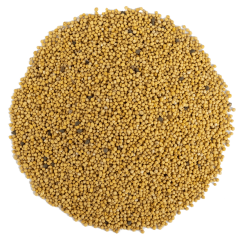 G1 Experience Sarı Hardal Tohumu Premium Kalite 250 g