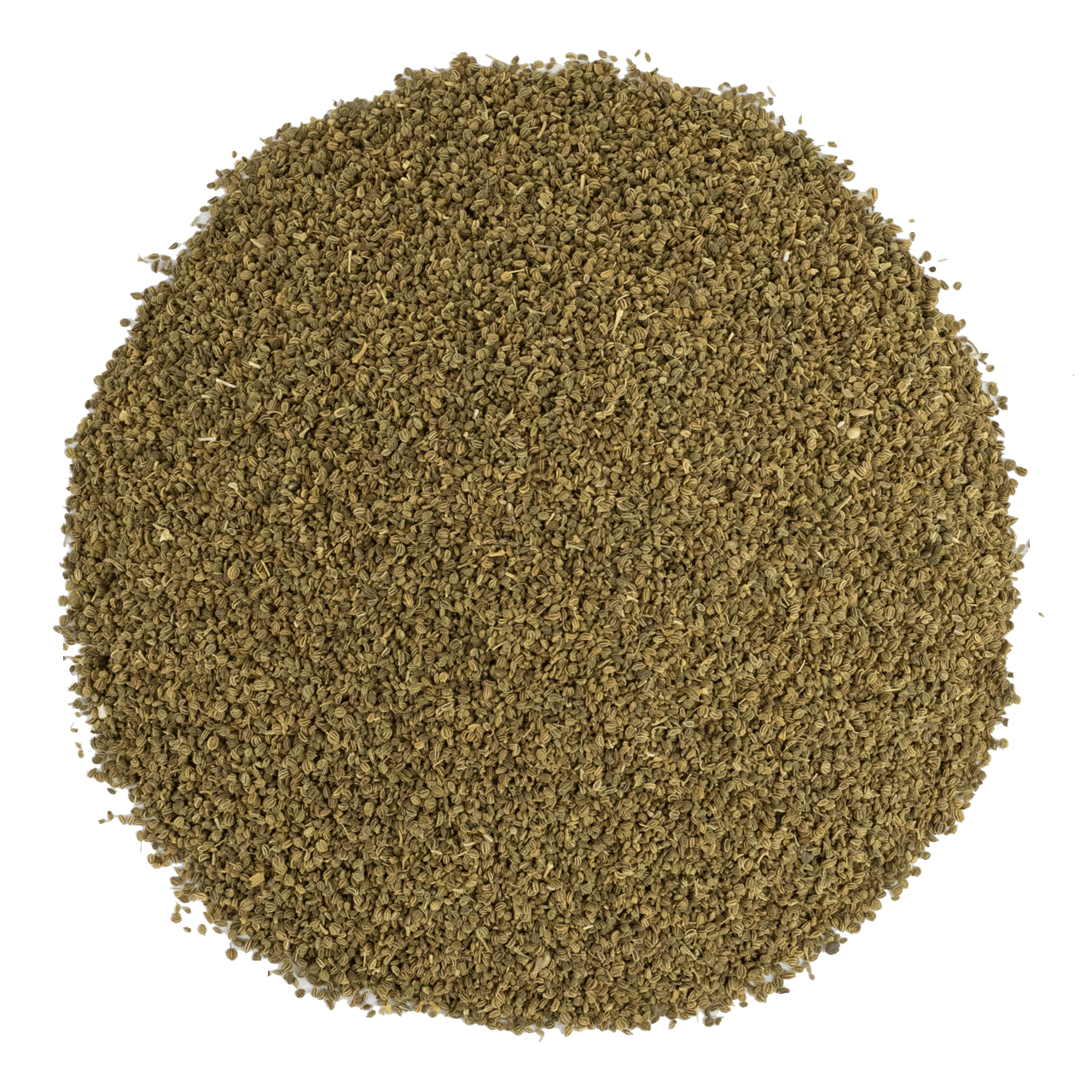 G1 Experience Kereviz Tohumu Üreme Destekleyici Premium Kalite 250 g