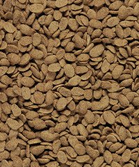 Versele Laga Nutrıbird P15 Original Papağanlar İçin Meyveli Pelet Yem (B) 1 kg