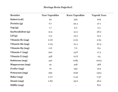 G1 Experience Mucize Bitki Moringa Oleifera Yaprak 400 gr